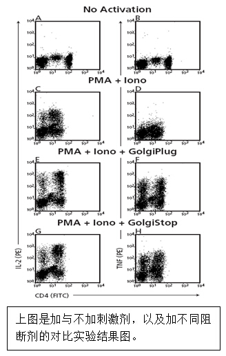 流式實(shí)驗(yàn)全套Buffer 流式實(shí)驗(yàn)全套Buffer