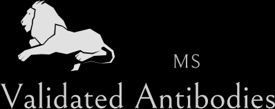 MS Validated Antibodies